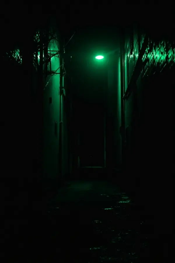 漫剧观看《暗夜追光者》封面